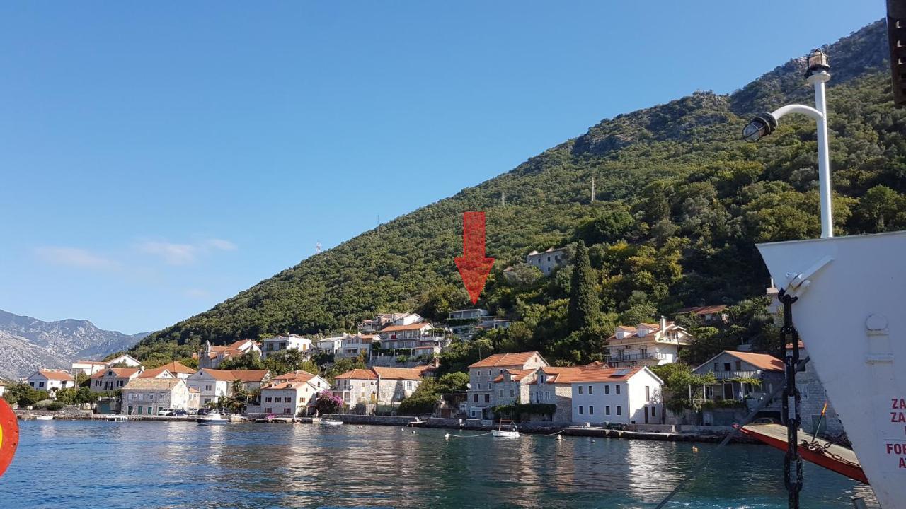 Apartments Eftimov Tivat Exterior photo